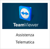 Assistenza Telematica